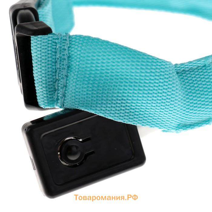 Ошейник с подсветкой, зарядка от USB, размер XL, ОШ 42-56 см, 3 режима, голубой