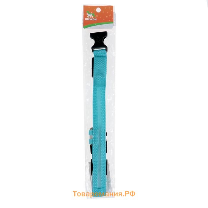 Ошейник с подсветкой, зарядка от USB, размер XL, ОШ 42-56 см, 3 режима, голубой