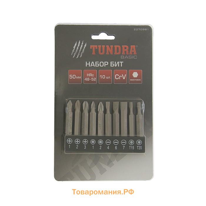 Набор бит ТУНДРА, сталь CrV, PH, PZ, SL, Torx х 50 мм, 10 шт.