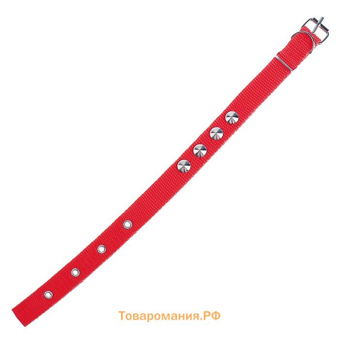 Ошейник для животных