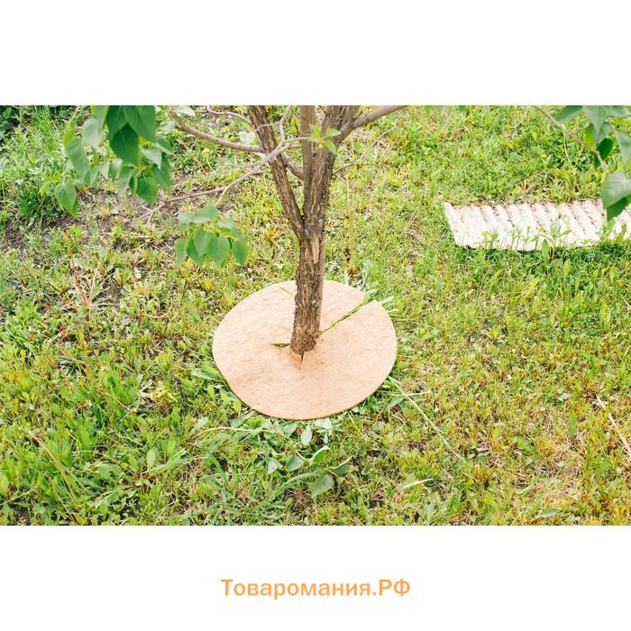 Круг приствольный, d=0.4 м, из кокосового полотна, набор 5 шт., «Мульчаграм»