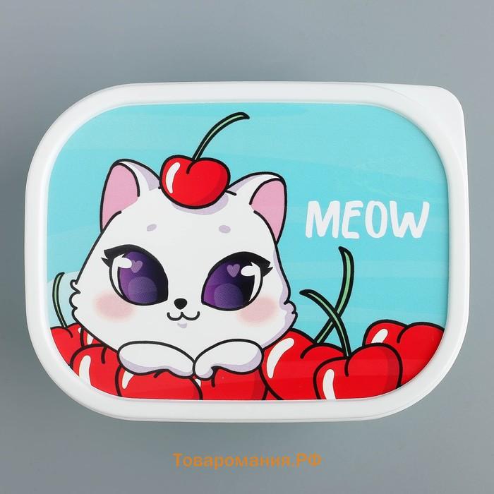 Ланч бокс прямоугольный Meow, 500 мл