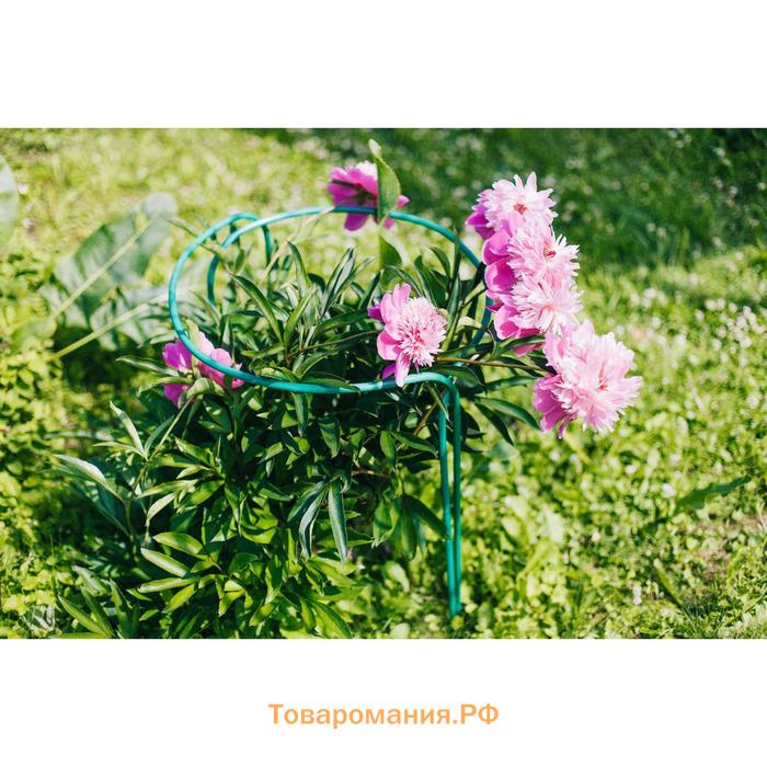 Кустодержатель, d=80 см, h=60 см, ножка d=1 см, металл, набор 2 шт., зелёный