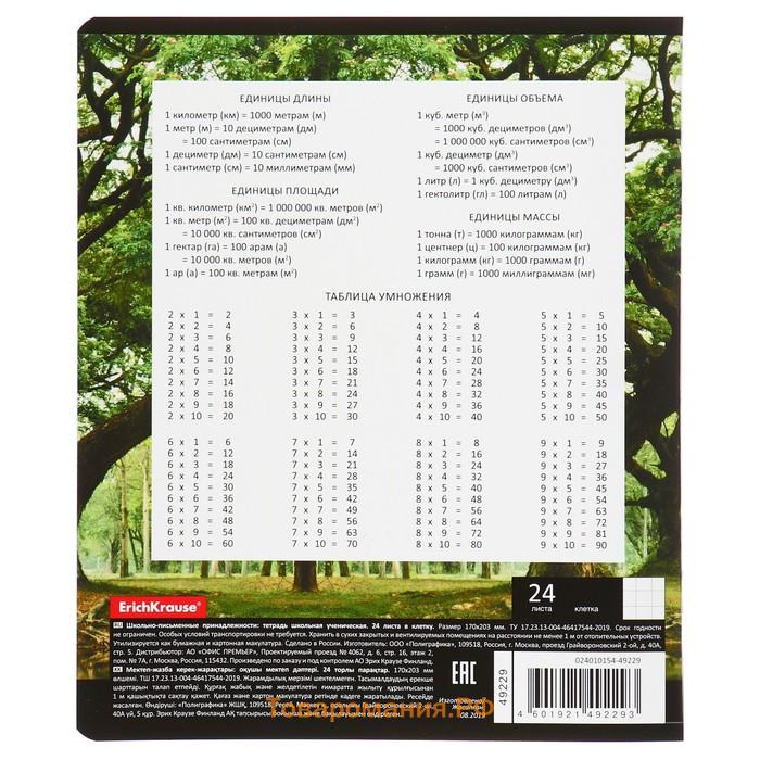Тетрадь 24 листа в клетку, ErichKrause "Родные просторы", обложка мелованный картон, блок офсет 100% белизна, МИКС (1 вид в спайке)