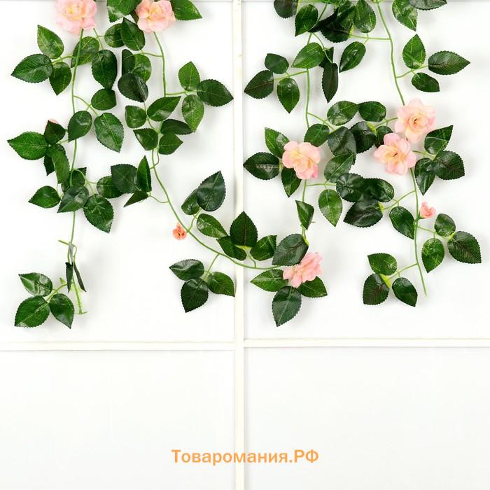 Лиана "Роза чайная" 1,9 м (цена за 1 шт, в упаковке 2 шт) микс