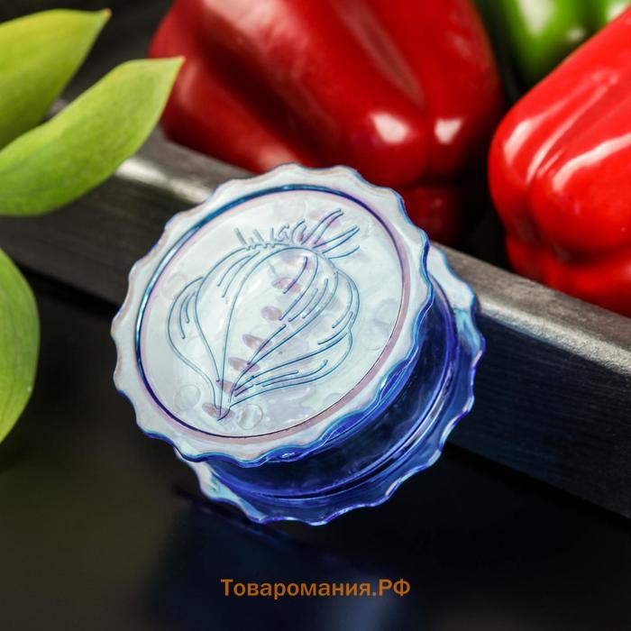 Измельчитель для чеснока  «Хранитель», 8×3 см, МИКС