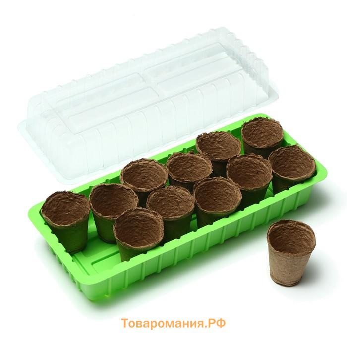 Мини-парник: 36 × 13 × 12 см, торфяной горшок 6,5 × 6,5 см, 12 шт., Greengo