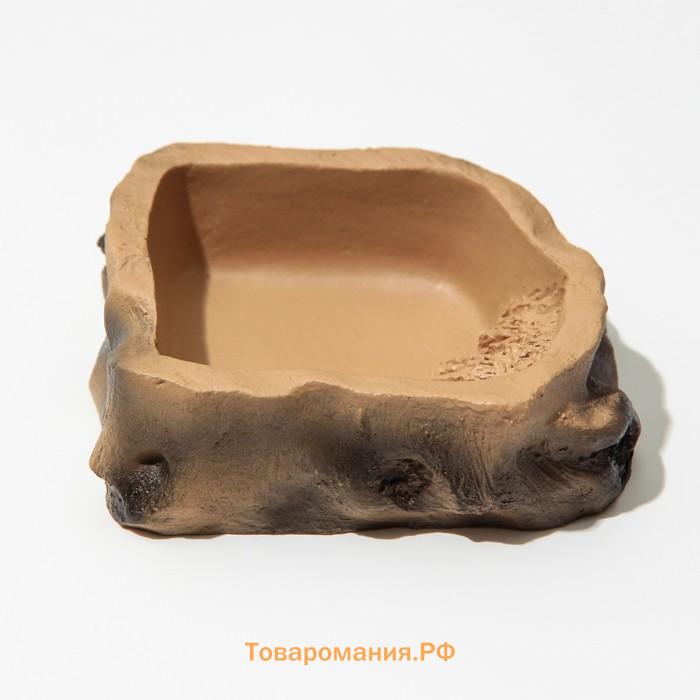 Кормушка для террариума, 8,2 х 8 х 2,5 см