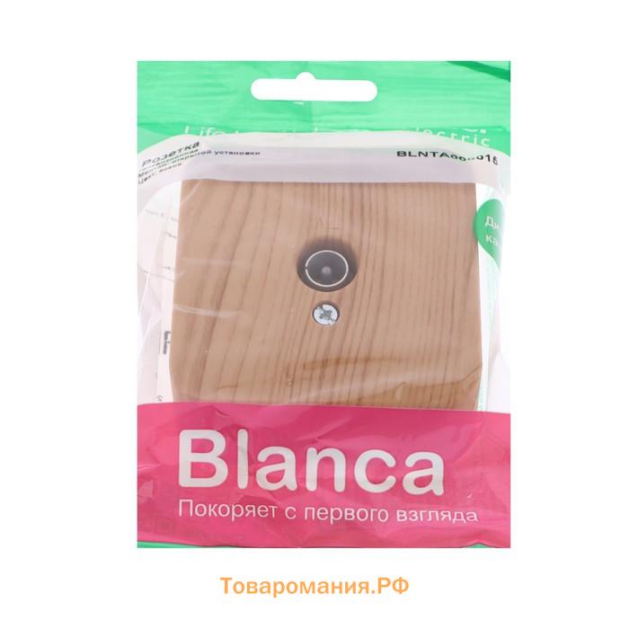 Розетка телевизионная SE Blanca, накладная, 1 дБ, IP20, цвет ясень, BLNTA000015