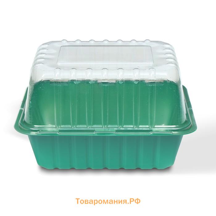 Мини-парник для рассады 21 × 16 × 6.5, без вставок, Greengo