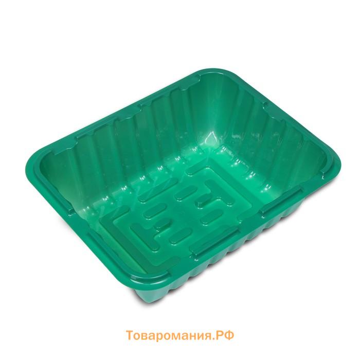 Мини-парник для рассады 21 × 16 × 6.5, без вставок, Greengo