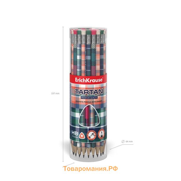 Карандаш чернографитный с ластиком ErichKrause "Tartan", HB, грифель d=2.2 мм, дерево, трeхгранный с принтом, в тубусе, микс