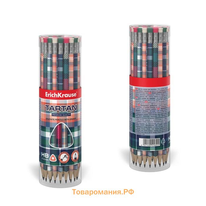 Карандаш чернографитный с ластиком ErichKrause "Tartan", HB, грифель d=2.2 мм, дерево, трeхгранный с принтом, в тубусе, микс