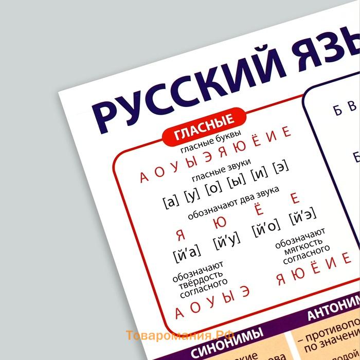 Набор обучающих плакатов «Русский язык, математика и английский язык 1-4 класс» 3 в 1, А3