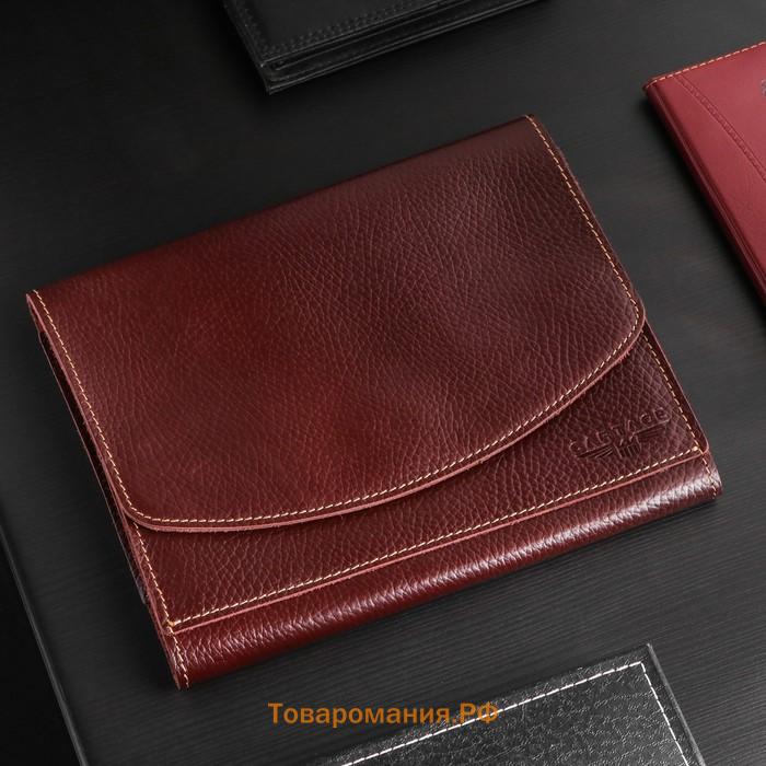 Папка для автодокументов Cartage, натуральная кожа, коричневая, 22×18×4.5 см