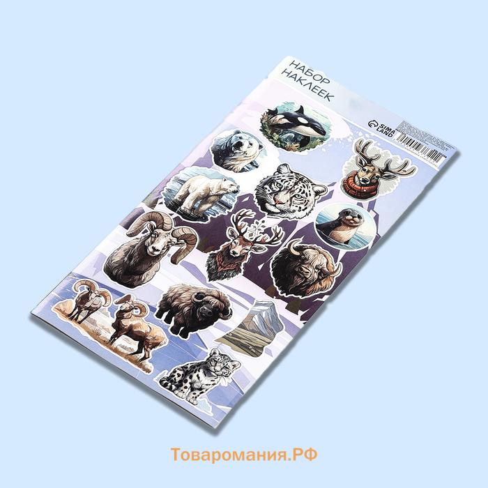 Детские наклейки бумажные 10×22 см, «Север»