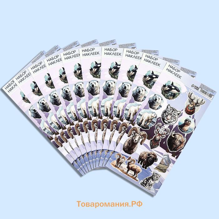 Детские наклейки бумажные 10×22 см, «Север»