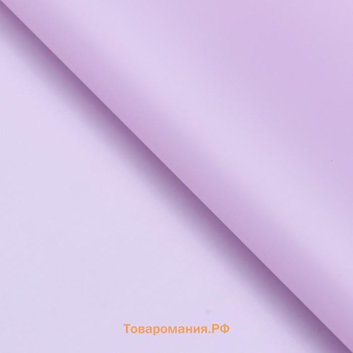Пленка матовая, PASTEL, Глициния 0.59×7 м 180 г