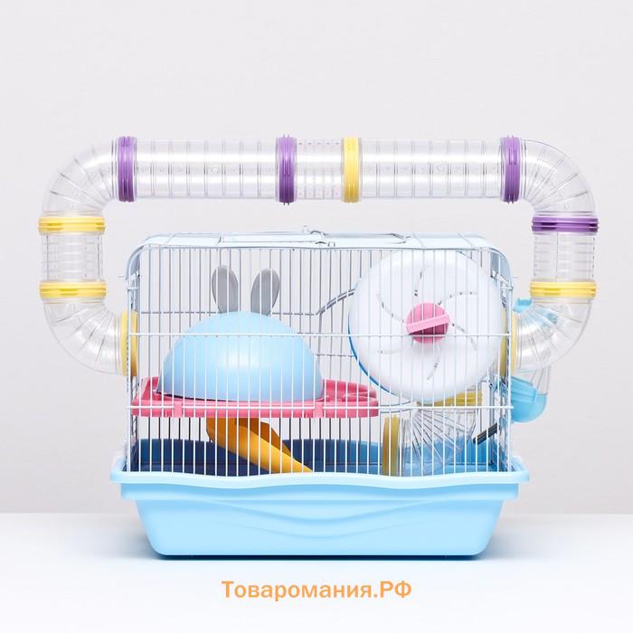 Клетка для грызунов "Пижон", укомплектованная с туннелем, 37 х 27 х 30 см, синий