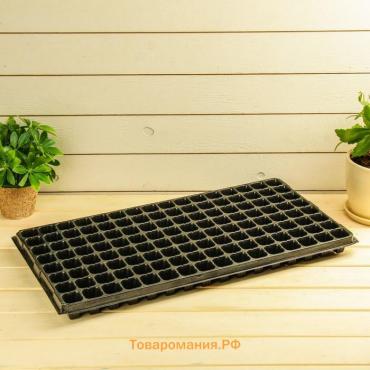 Кассета для выращивания рассады Greengo на 128 ячеек, по 15 мл, пластиковая, чёрная, 54×28×5 см