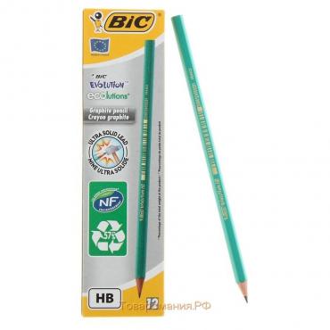 Карандаш чернографитный (простой) НВ, BIC Evolution, заточенный, пластик, без ластика, шестигранный, зеленый корпус