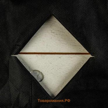 Материал мульчирующий, с перфорацией, 10×1.6 м, плотность 80 г/м², спанбонд с УФ-стабилизатором, чёрный, Greengo, Эконом 30%