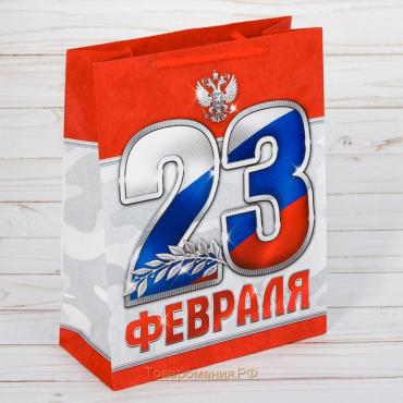 Пакет подарочный ламинированный вертикальный, упаковка, «23 февраля!», S 12 х 15 х 5,5 см