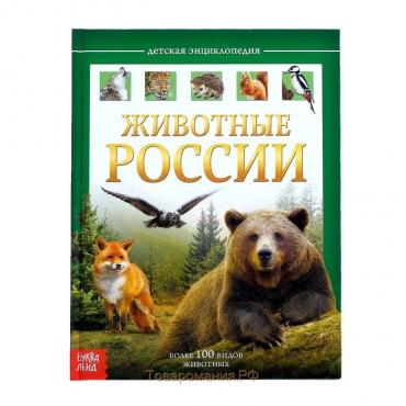 Детская энциклопедия в твёрдом переплёте «Животные России», 48 стр.