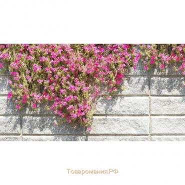 Фотобаннер, 250 × 150 см, с фотопечатью, люверсы шаг 1 м, «Стена с цветами», Greengo