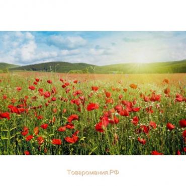 Фотобаннер, 300 × 200 см, с фотопечатью, люверсы шаг 1 м, «Маки», Greengo