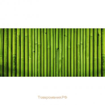 Фотобаннер, 300 × 200 см, с фотопечатью, люверсы шаг 1 м, «Бамбук», Greengo