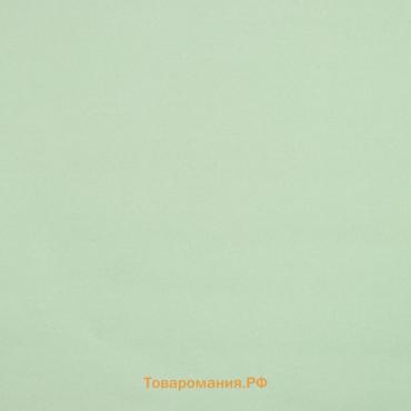 Штора рулонная «Нюд», блэкаут, 90×250 см, зелёная