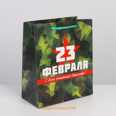 Пакет подарочный ламинированный вертикальный, упаковка, «Защитник», ML 23 х 27 х 11.5 см