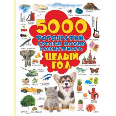 5000 фотографий, которые можно рассматривать целый год. Долманская Л.В.