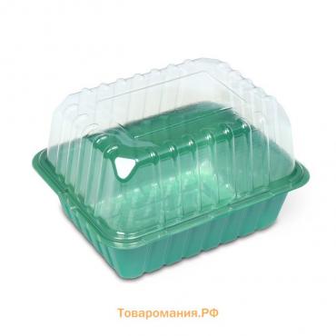 Мини-парник для рассады 21 × 16 × 6.5, без вставок, Greengo