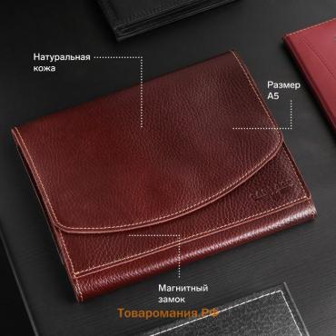 Папка для автодокументов Cartage, натуральная кожа, коричневая, 22×18×4.5 см