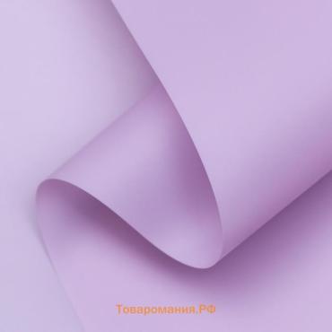 Пленка матовая, PASTEL, Глициния 0.59×7 м 180 г