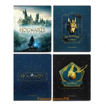 Тетрадь 48 листов клетка "-Hogwarts Legacy-Гарри Поттер", обложка мелованный картон, скругленные углы, блок 65 г/м2, 5В МИКС